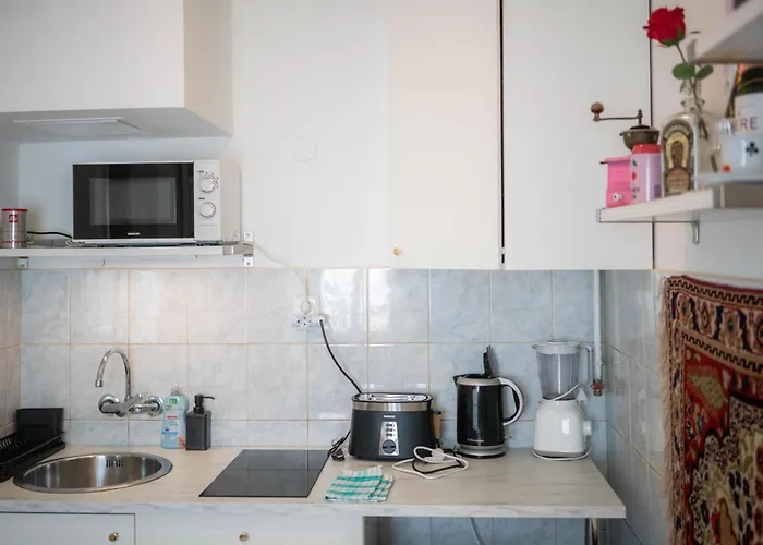 Apartament Vintage *